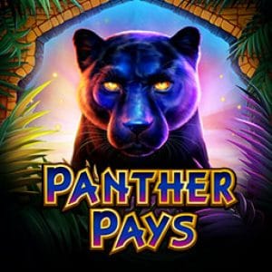 Panther Pays game thumbnail
